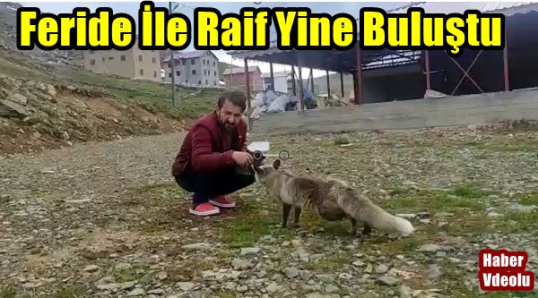 Feride İle Raif Yine Buluştu-Haber Videolu