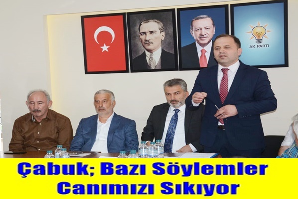 Çabuk; Bazı Söylemler Canımızı Sıkıyor