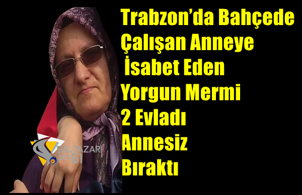Trabzon Şalpazarı’nda  Bahçede Çalışan Anneye İsabet Eden Yorgun Mermi 2 Evladı Annesiz Bıraktı