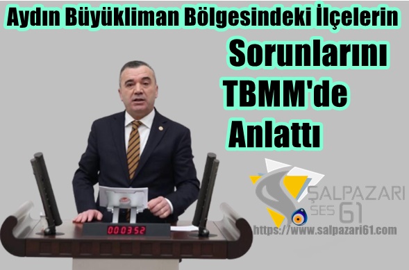 Aydın Büyükliman Bölgesindeki İlçelerin Sorunlarını TBMM’de Anlattı