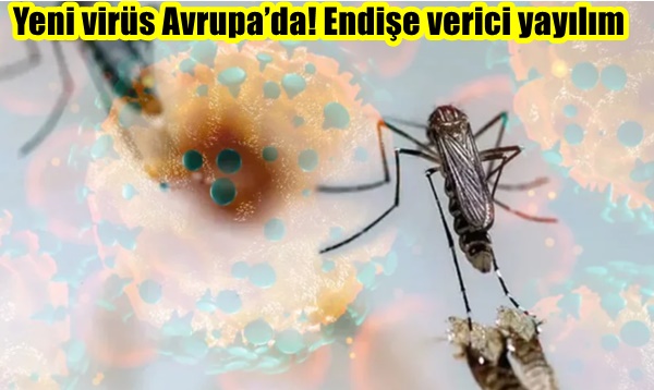 Yeni virüs Avrupa’da! Endişe verici yayılım