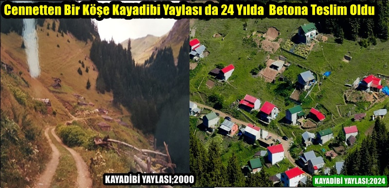 Cennetten Bir Köşe Kayadibi Yaylası da 24 Yılda  Betona Teslim Oldu