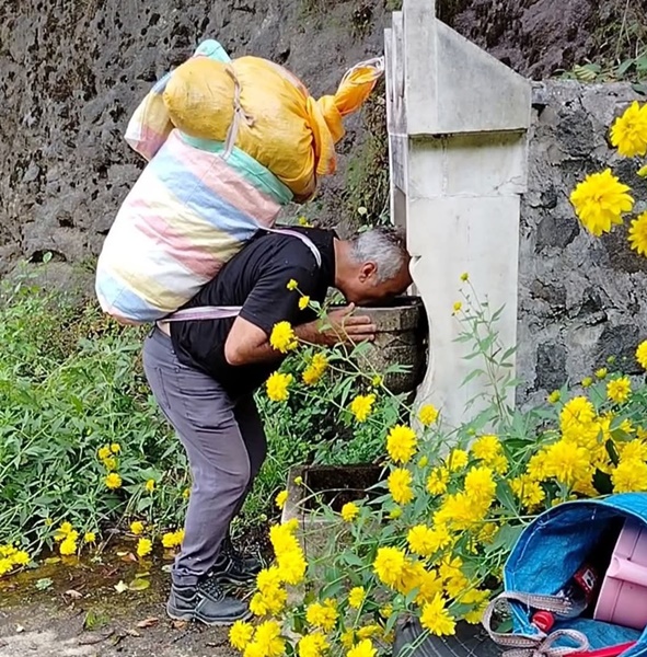 Fındık Dalda Kalmamalı