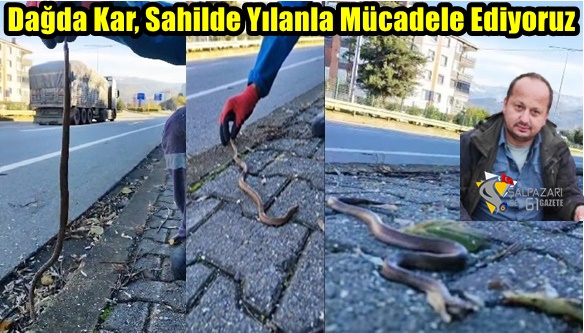 Dağda Kar, Sahilde Yılanla Mücadele Ediyoruz