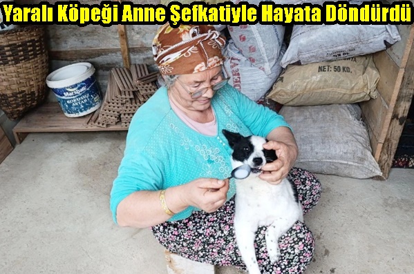 Yaralı Köpeği Anne Şefkatiyle Hayata Döndürdü