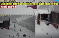 Sis Dağı’nın davetsiz misafiri: Koca ayı evleri mesken tuttu