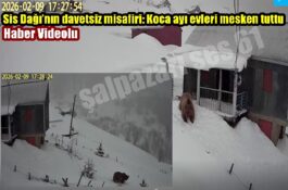 Sis Dağı’nın davetsiz misafiri: Koca ayı evleri mesken tuttu