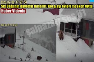 Sis Dağı’nın davetsiz misafiri: Koca ayı evleri mesken tuttu