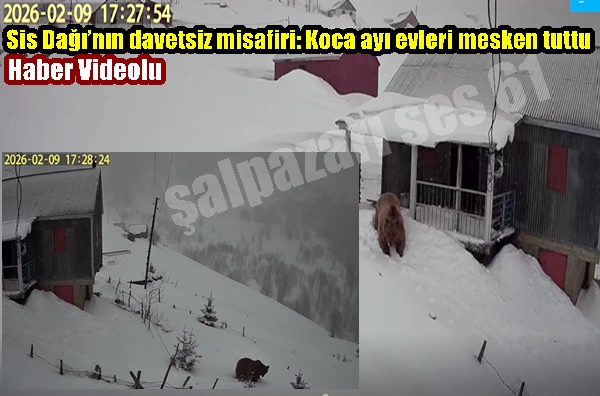 Sis Dağı’nın davetsiz misafiri: Koca ayı evleri mesken tuttu