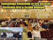 Göbeklitepe-BalıklıGölü ve Sıra Gecesini Görmeden Urfa’yı Gezdim Demeyin