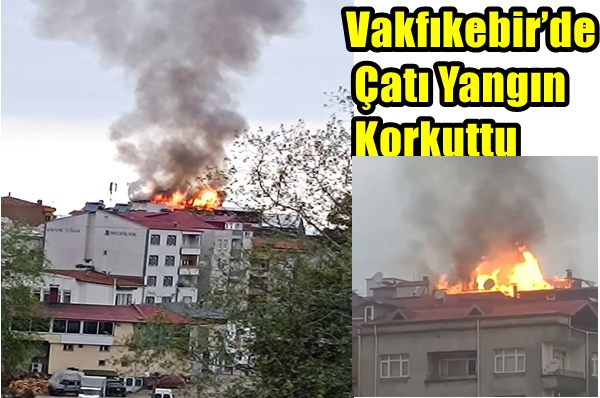 Vakfıkebir’de Çatı Yangın Korkuttu