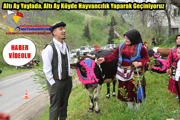 Altı Ay Yaylada, Altı Ay Köyde Hayvancılık Yaparak Geçiniyoruz