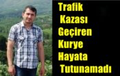 Trafik Kazası Geçiren Kurye Hayata Tutunamadı
