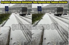Beşikdüzü Yaylacılarını Gümüşhane Tünel Çıkışında Dolu Yağmuru Durdurdu
