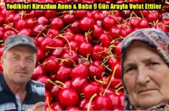 Yedikleri Kirazdan Anne & Baba 9 Gün Arayla Vefat Ettiler