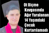 Ot Biçme Kavgasında Ağır Yaralanan 14 Yaşındaki Çocuk Kurtarılamadı