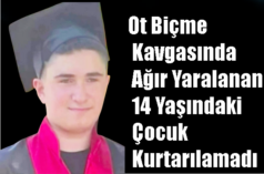Ot Biçme Kavgasında Ağır Yaralanan 14 Yaşındaki Çocuk Kurtarılamadı