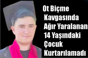 Ot Biçme Kavgasında Ağır Yaralanan 14 Yaşındaki Çocuk Kurtarılamadı
