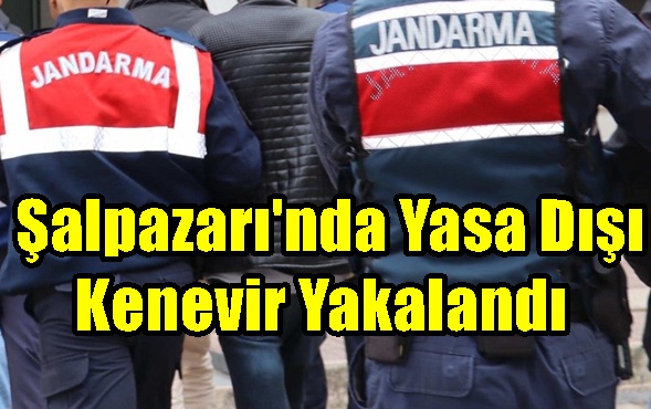 Şalpazarı’nda Yasa Dışı Kenevir Yakalandı