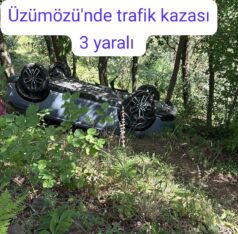 Üzümözü’nde trafik kazası 3 yaralı