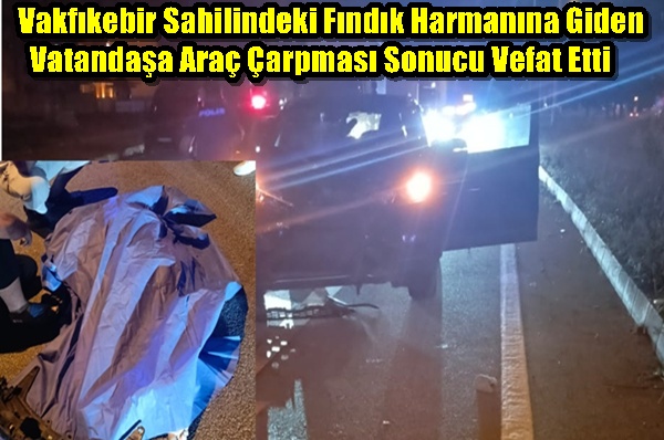 Vakfıkebir Sahilindeki Fındık Harmanına Giden Vatandaşa Araç Çarpması Sonucu Vefat Etti