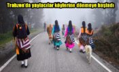 Trabzon’da yaylacılar köylerine dönmeye başladı